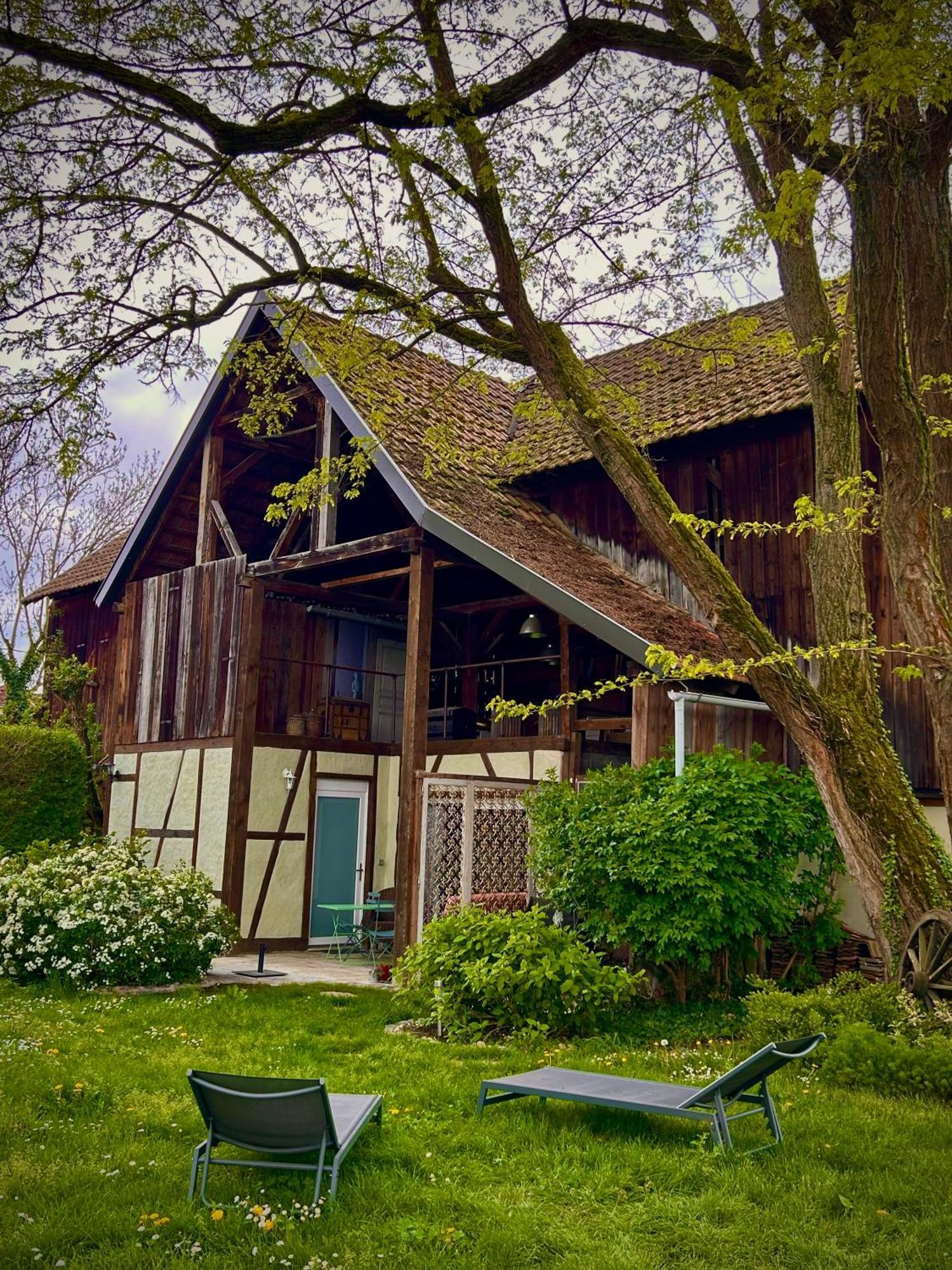 Le Sechoir Du Ried Apartment Rossfeld Bagian luar foto