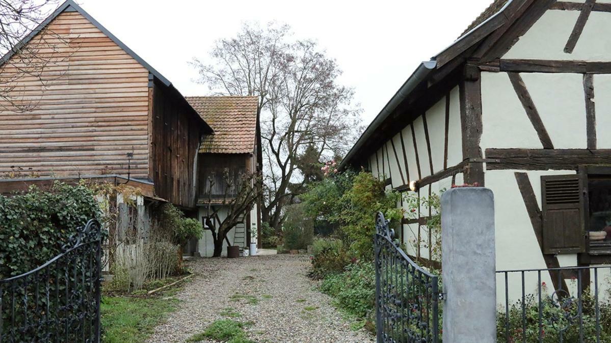 Le Sechoir Du Ried Apartment Rossfeld Bagian luar foto